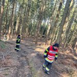 2024-03-12_suchaktion miesenbach_015